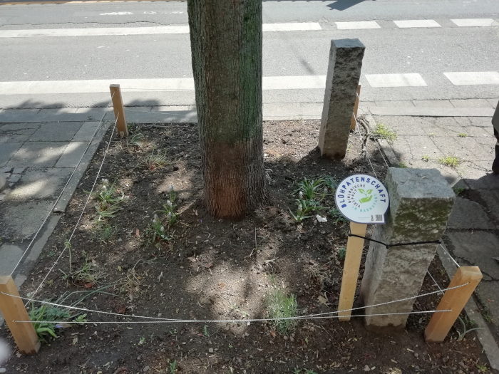 "Beet" unter einem Baum in Darmstadt