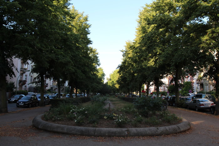 kleine Parkanlage mit Baumallee in Frankfurt