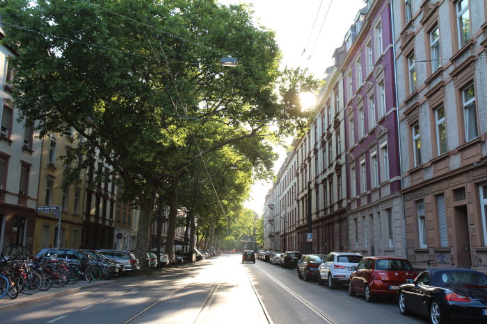 Straße in Frankfurt mit Stadtbäumen