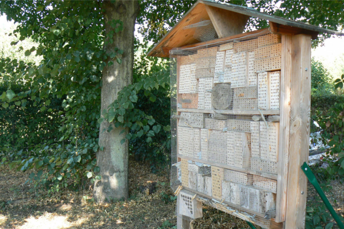 Während die Honigbiene in Biennstöcken oder Beuten wohnt, zieht die Verwandschaft (Wildbiene) das " Hotel" vor.
