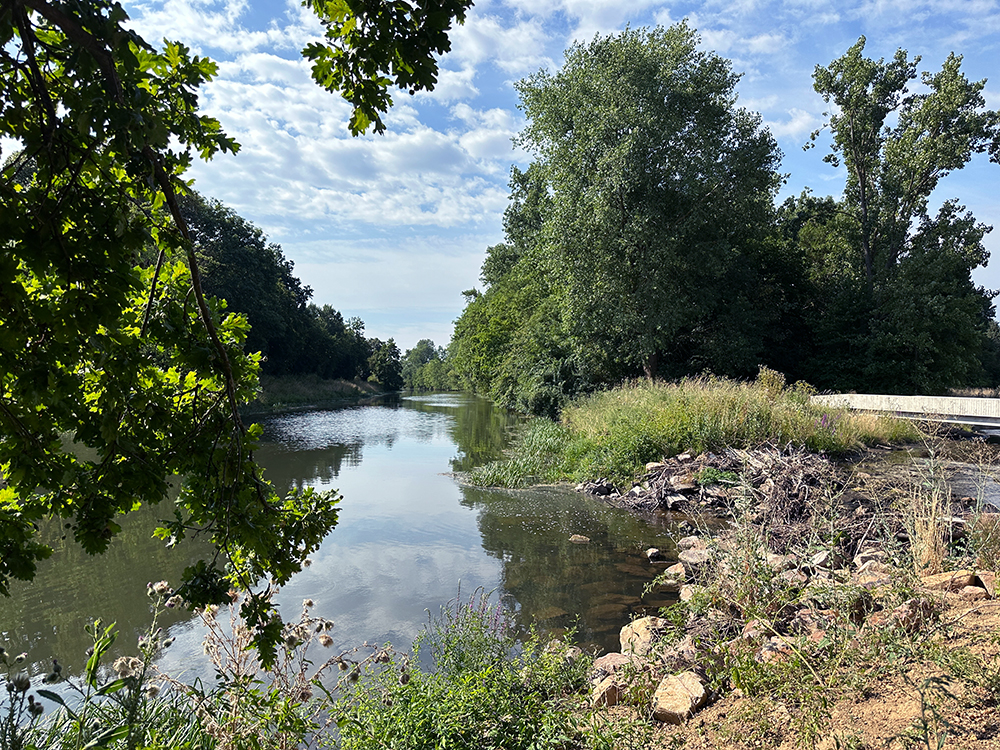 Urselbach-Mündung